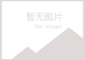 陕西夏岚工程有限公司